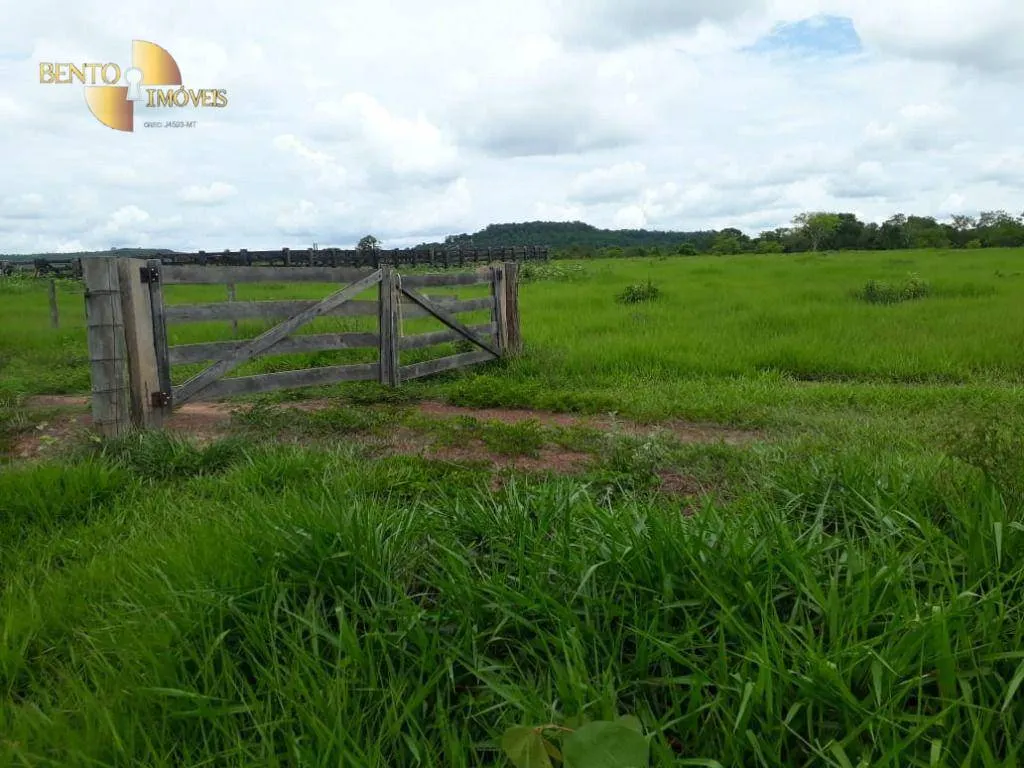 Fazenda à venda de 796 ha em Gaúcha do Norte, MT, Brasil