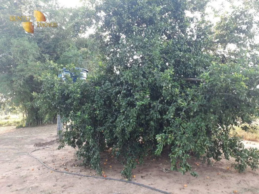 Fazenda à venda de 796 ha em Gaúcha do Norte, MT, Brasil