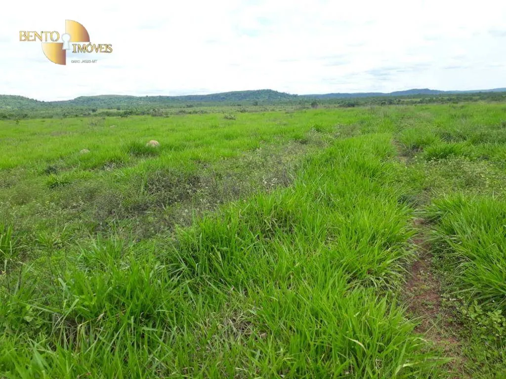 Fazenda à venda de 796 ha em Gaúcha do Norte, MT, Brasil