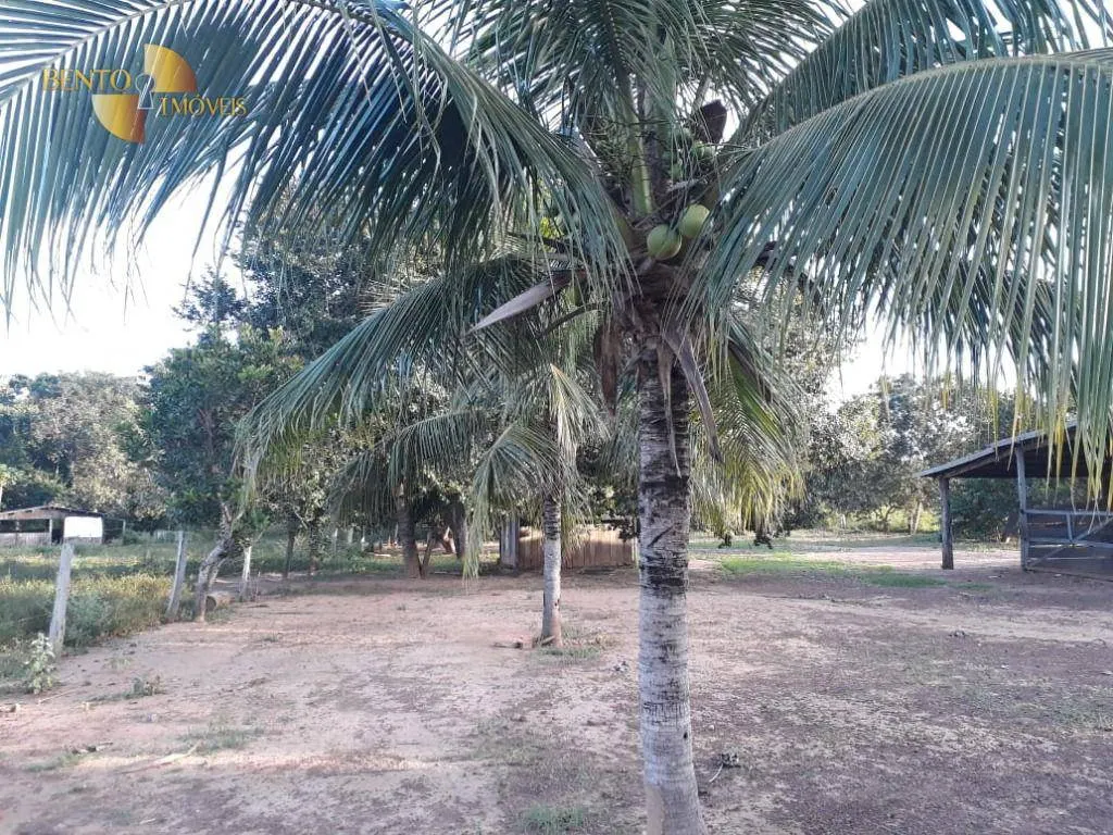 Fazenda à venda de 796 ha em Gaúcha do Norte, MT, Brasil