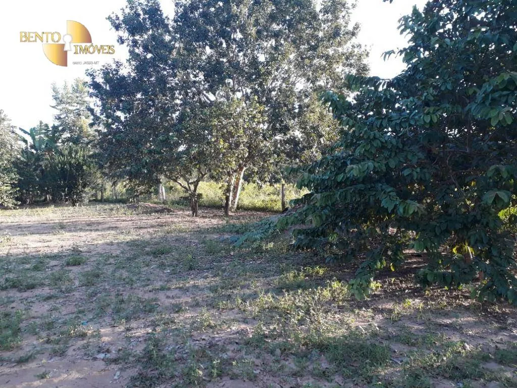 Fazenda à venda de 796 ha em Gaúcha do Norte, MT, Brasil
