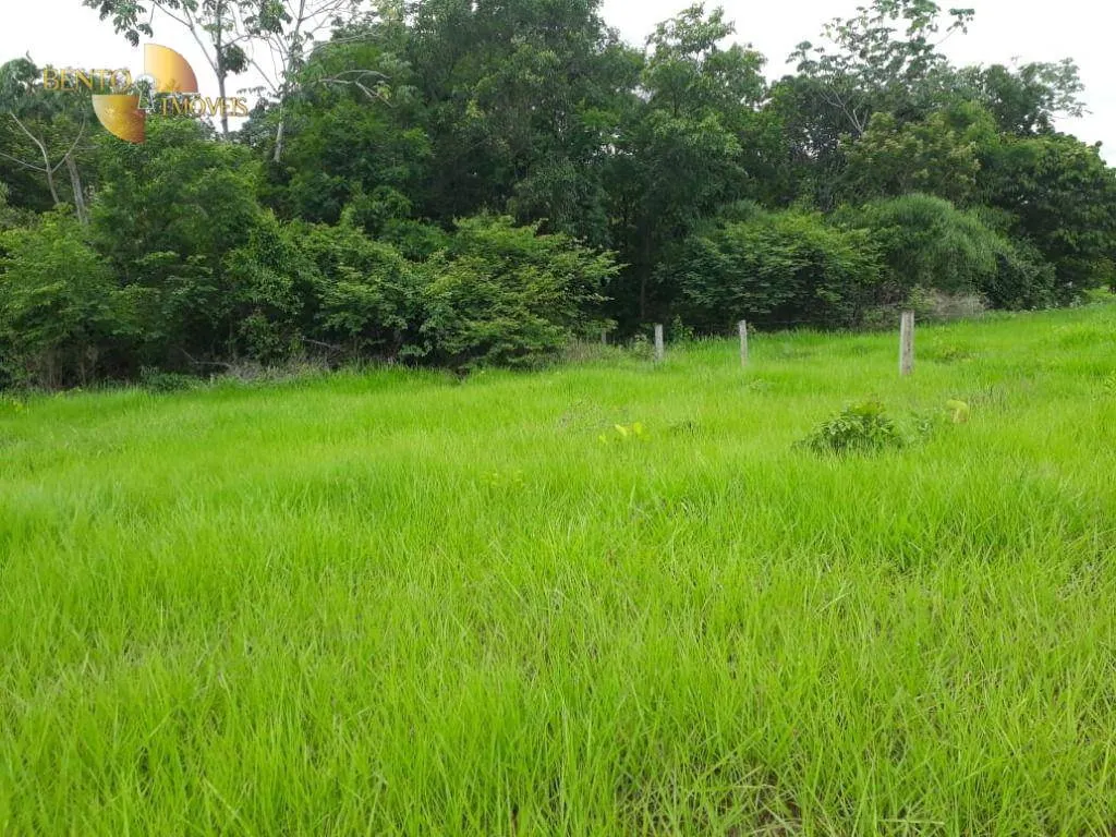 Fazenda à venda de 796 ha em Gaúcha do Norte, MT, Brasil