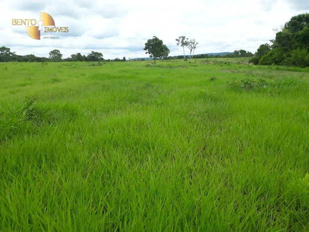 Fazenda à venda de 796 ha em Gaúcha do Norte, MT, Brasil