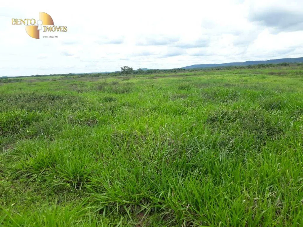 Fazenda à venda de 796 ha em Gaúcha do Norte, MT, Brasil