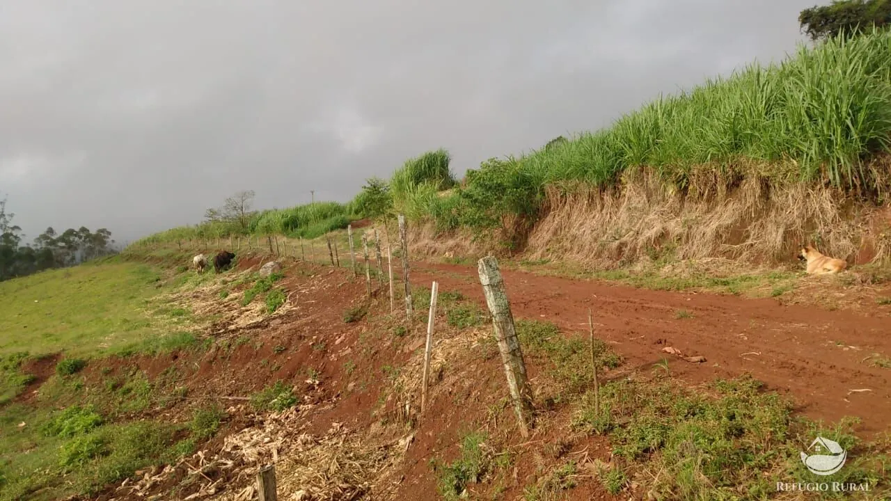 Sítio à venda de 9 ha em Santa Cruz do Sul, RS, Brasil