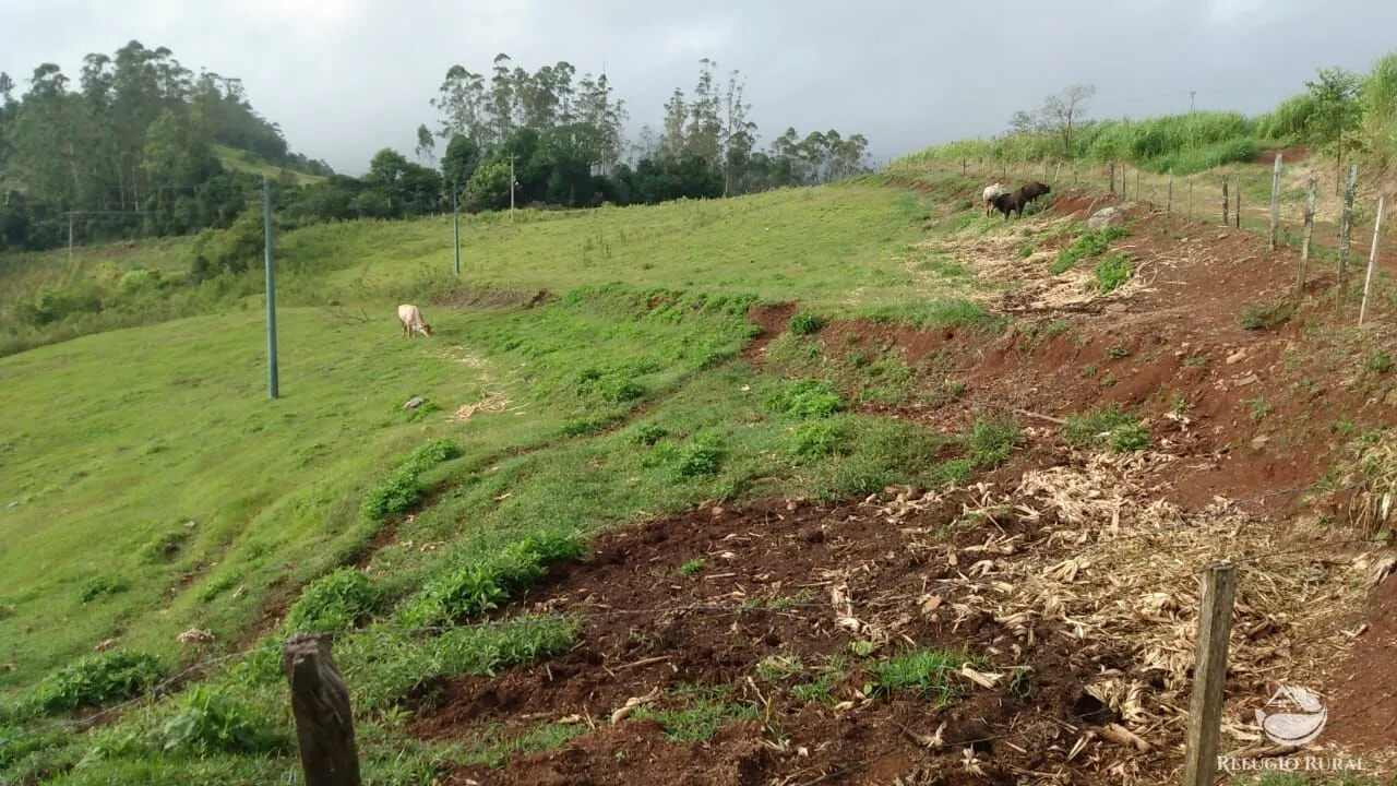 Sítio à venda de 9 ha em Santa Cruz do Sul, RS, Brasil