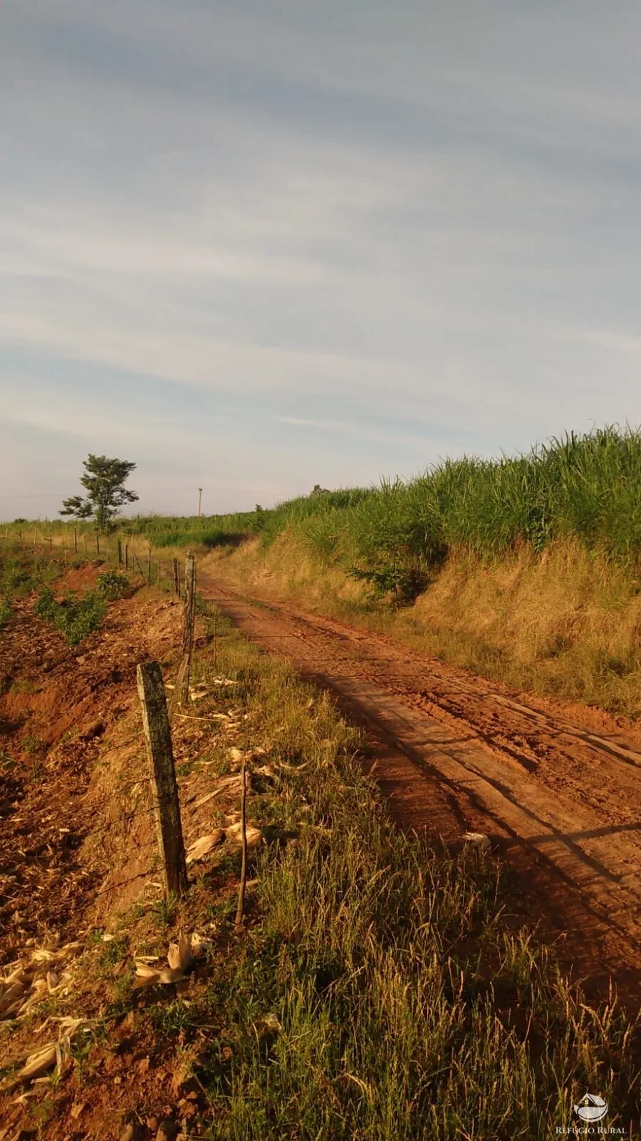 Sítio à venda de 9 ha em Santa Cruz do Sul, RS, Brasil