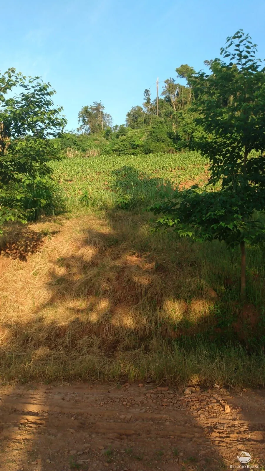 Sítio à venda de 9 ha em Santa Cruz do Sul, RS, Brasil
