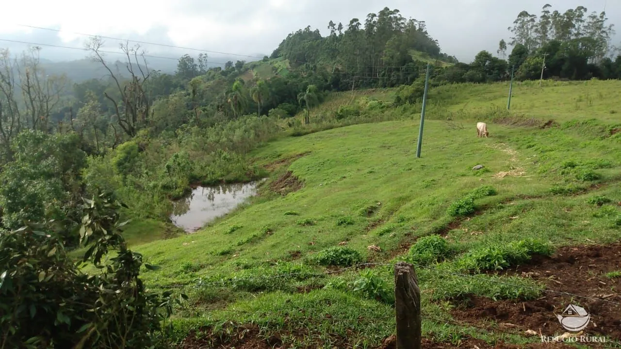 Sítio à venda de 9 ha em Santa Cruz do Sul, RS, Brasil