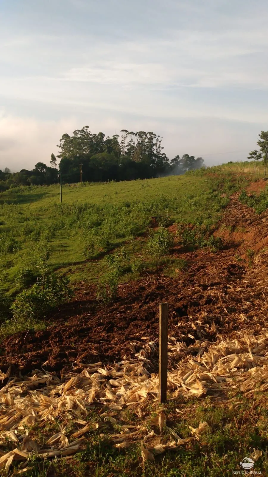 Sítio à venda de 9 ha em Santa Cruz do Sul, RS, Brasil