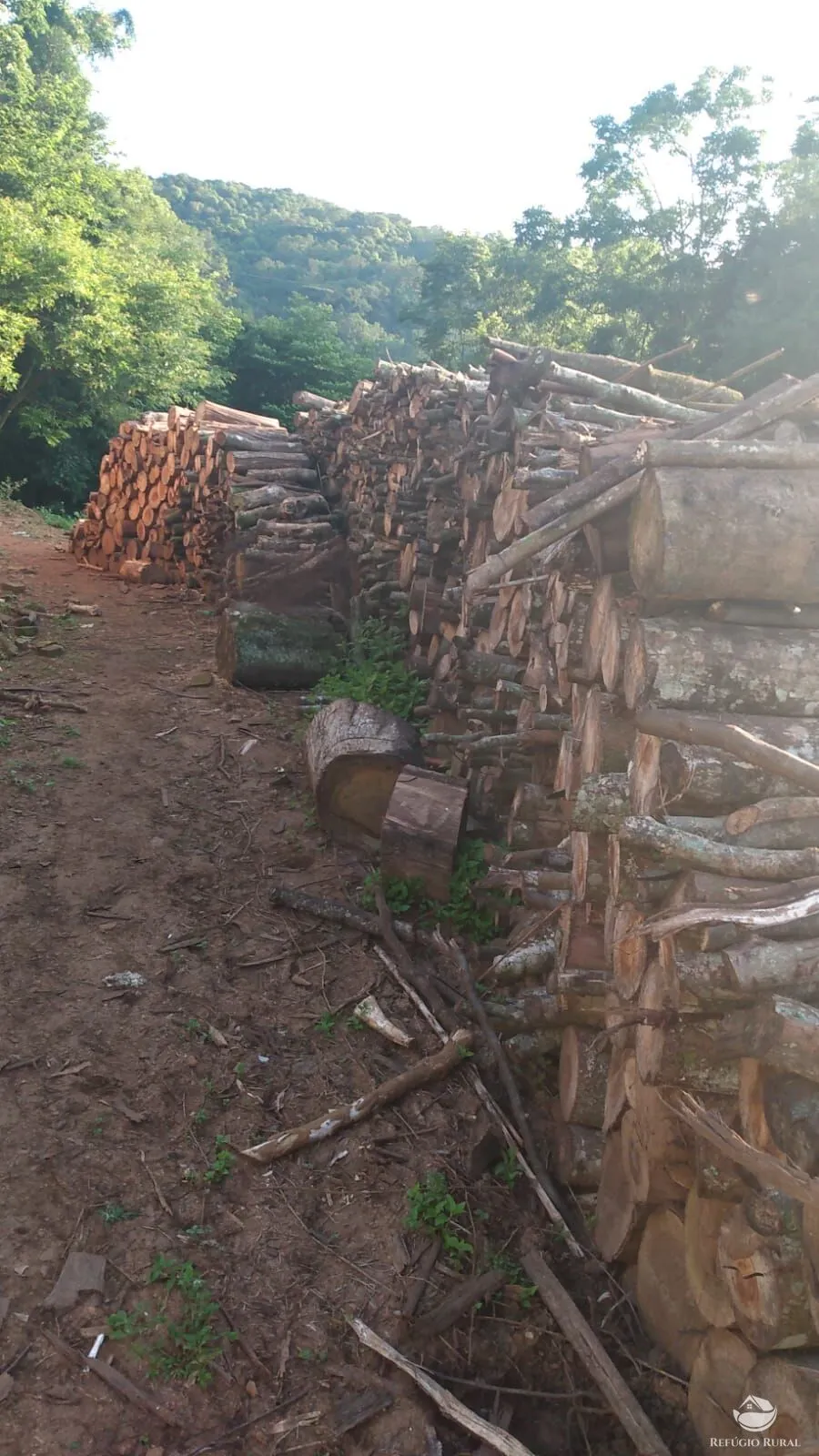 Sítio à venda de 9 ha em Santa Cruz do Sul, RS, Brasil