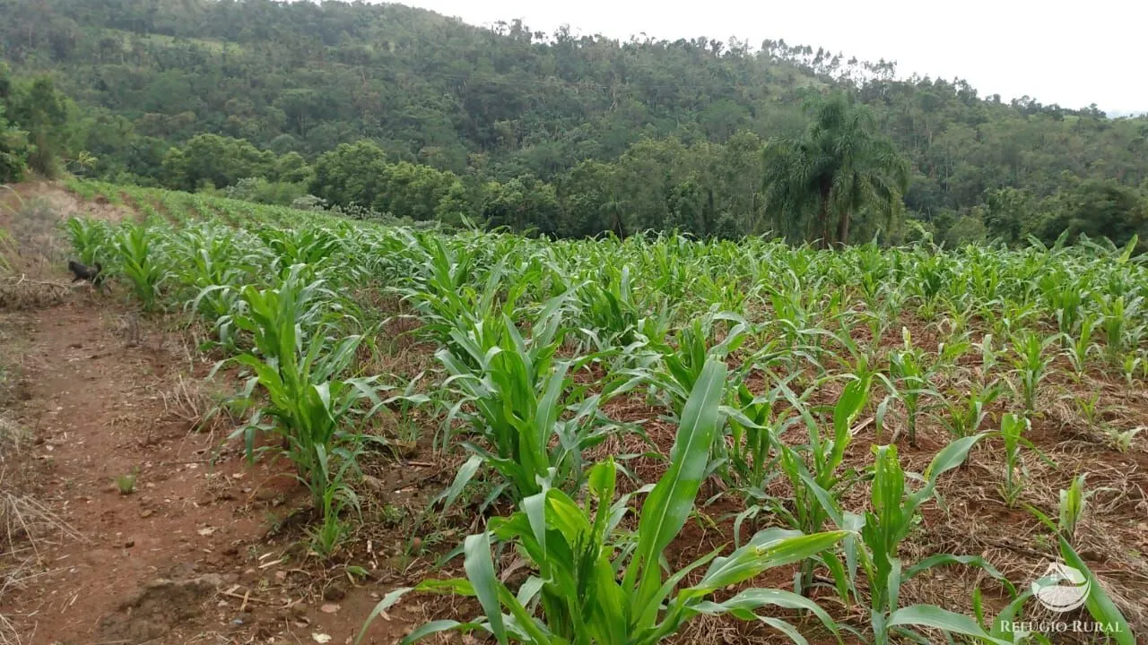 Sítio à venda de 9 ha em Santa Cruz do Sul, RS, Brasil