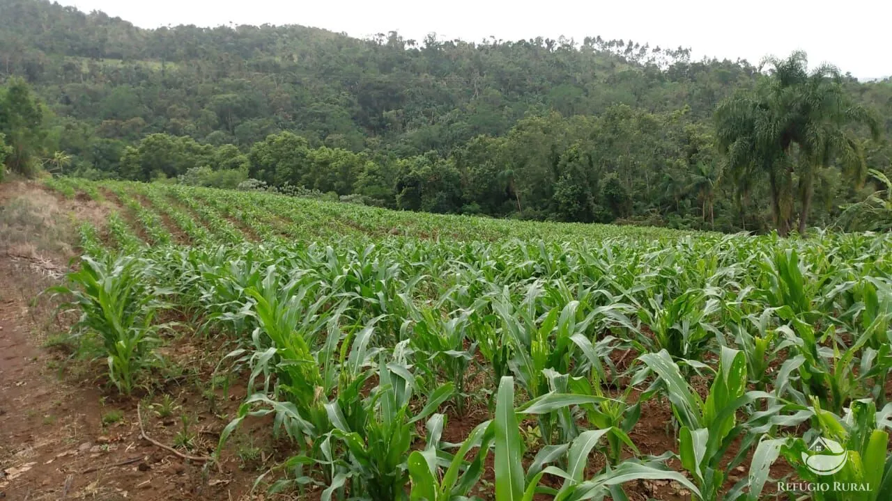 Sítio à venda de 9 ha em Santa Cruz do Sul, RS, Brasil