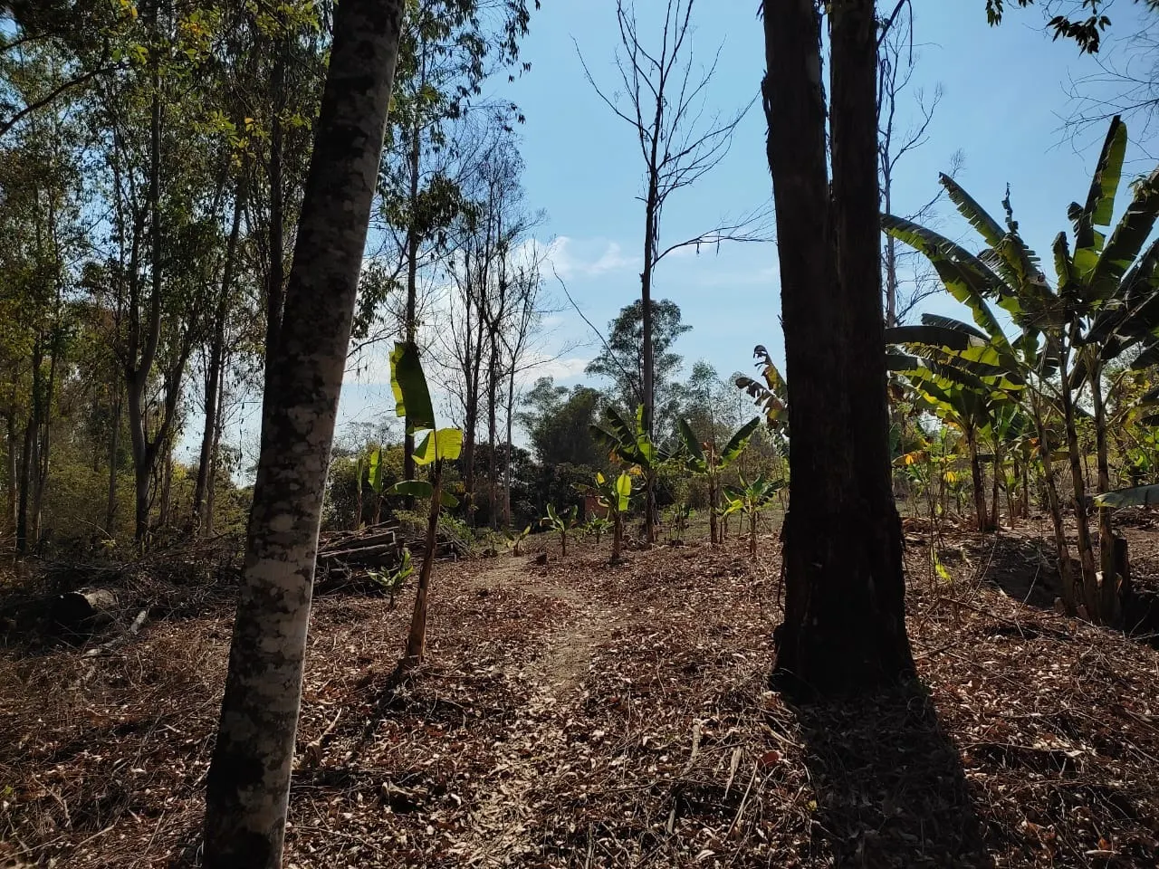Country home for sale of 8 acres in Piracicaba, SP, Brazil
