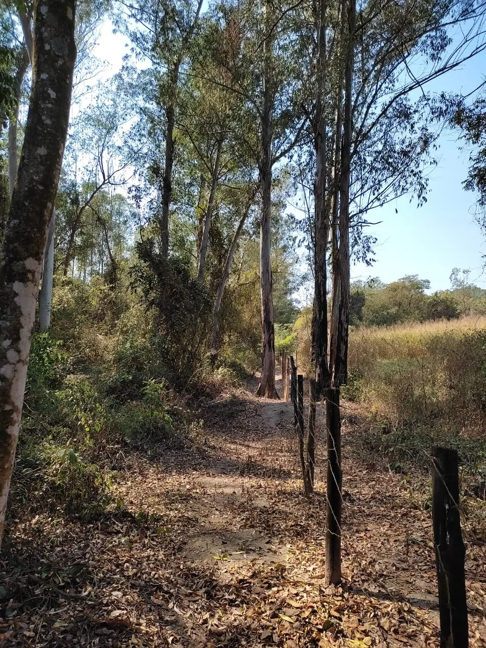 Country home for sale of 8 acres in Piracicaba, SP, Brazil