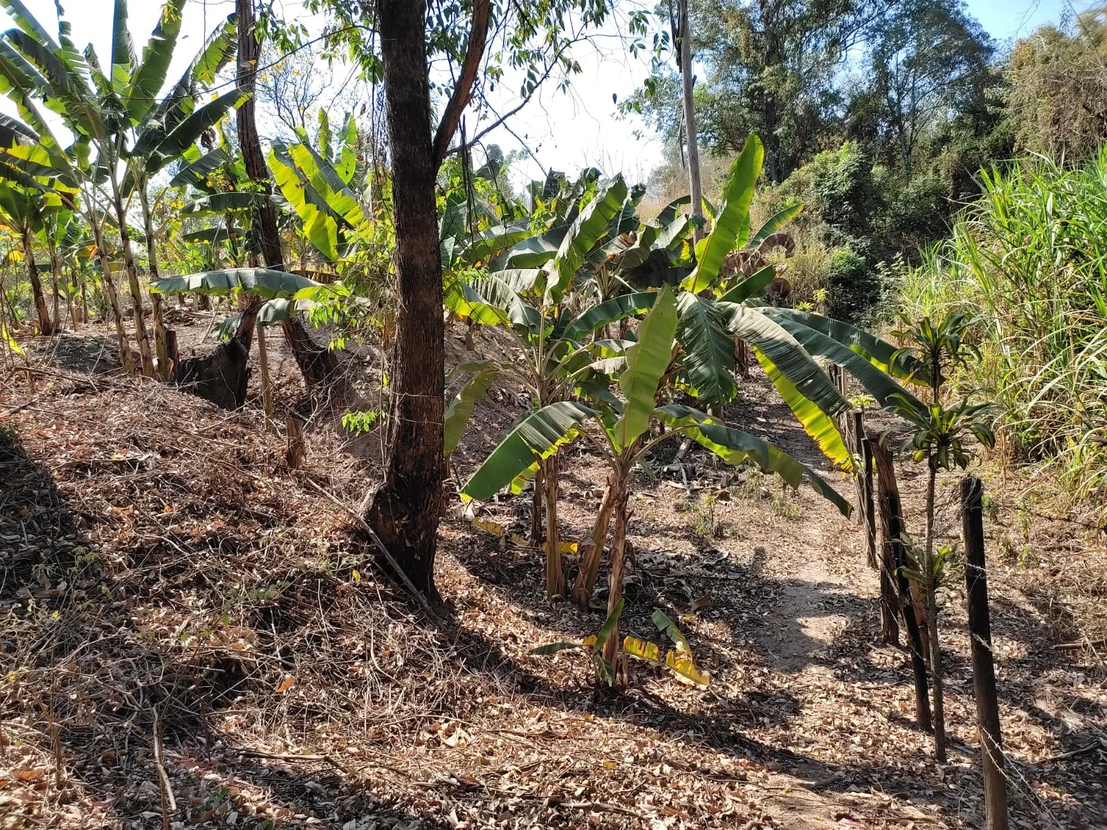 Country home for sale of 8 acres in Piracicaba, SP, Brazil