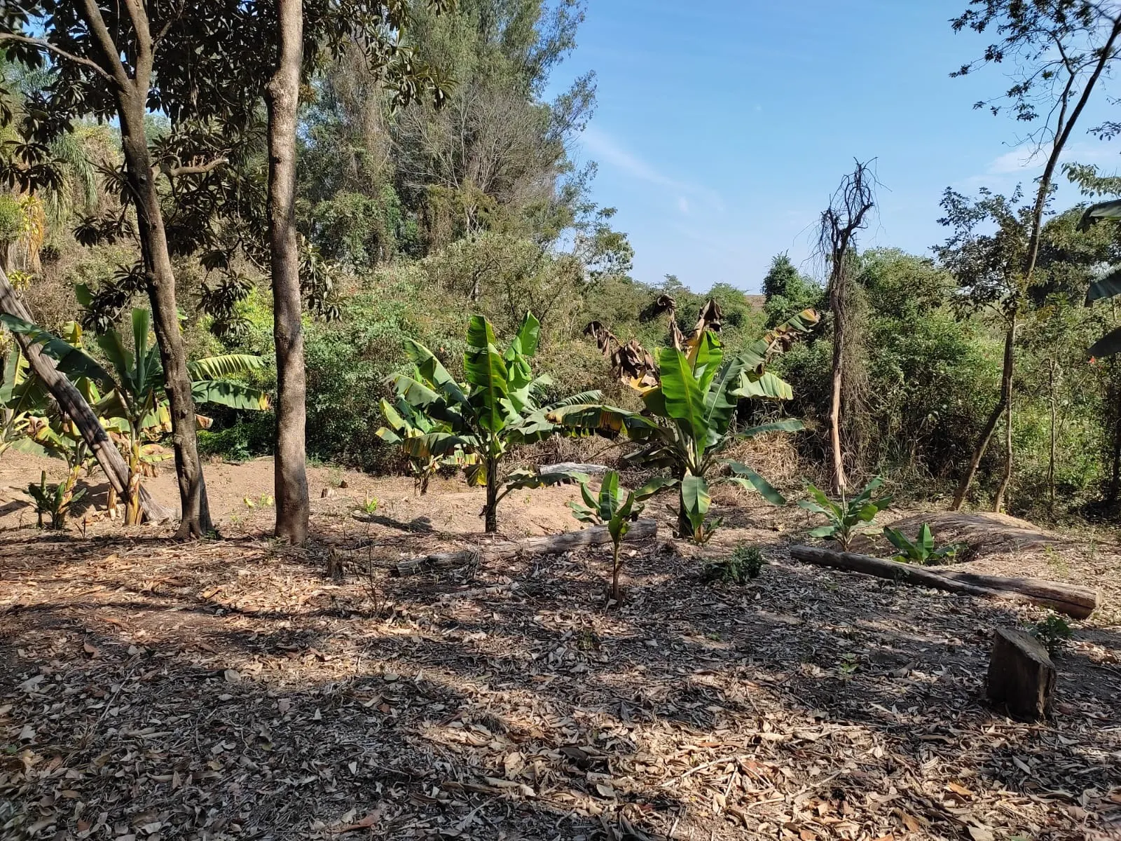 Country home for sale of 8 acres in Piracicaba, SP, Brazil