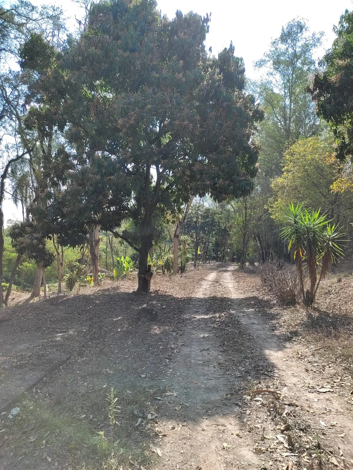 Country home for sale of 8 acres in Piracicaba, SP, Brazil