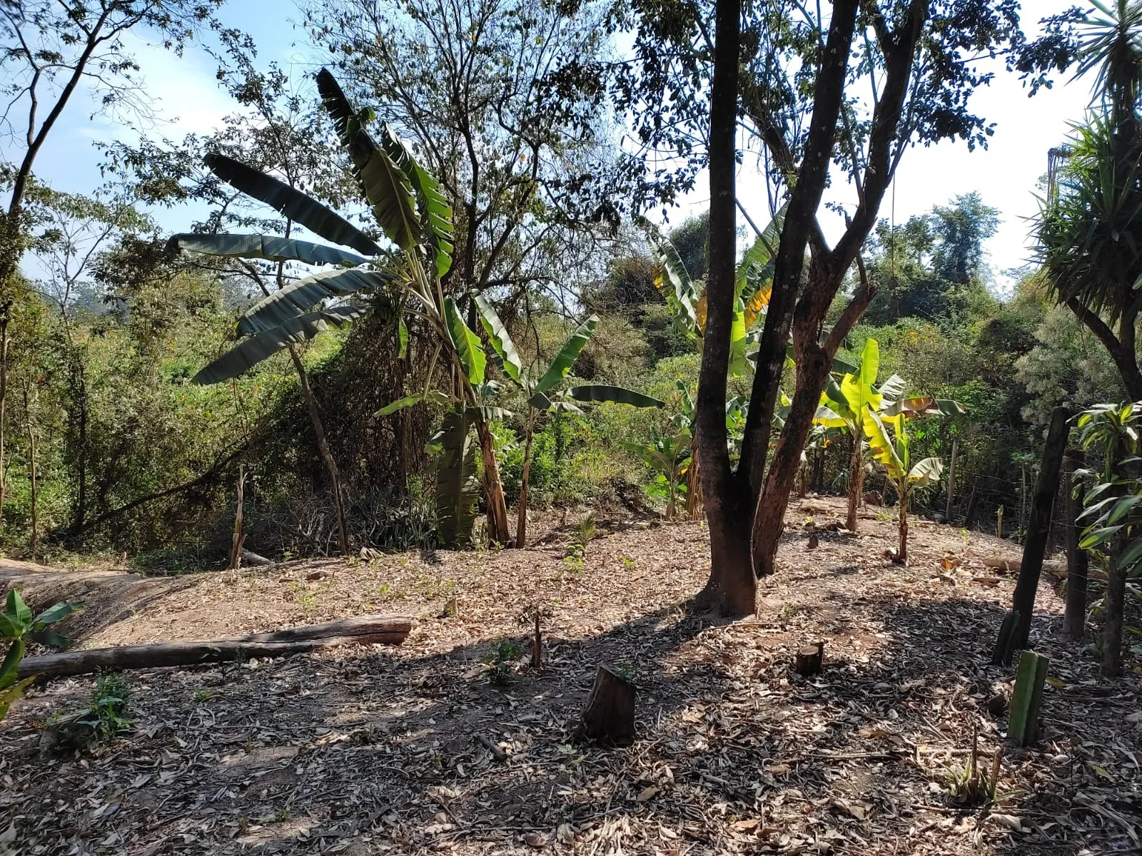 Country home for sale of 8 acres in Piracicaba, SP, Brazil