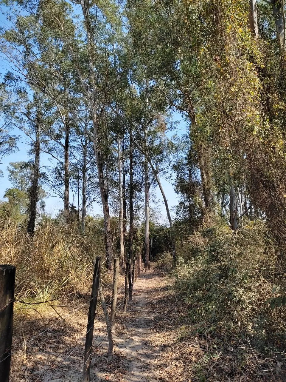 Country home for sale of 8 acres in Piracicaba, SP, Brazil