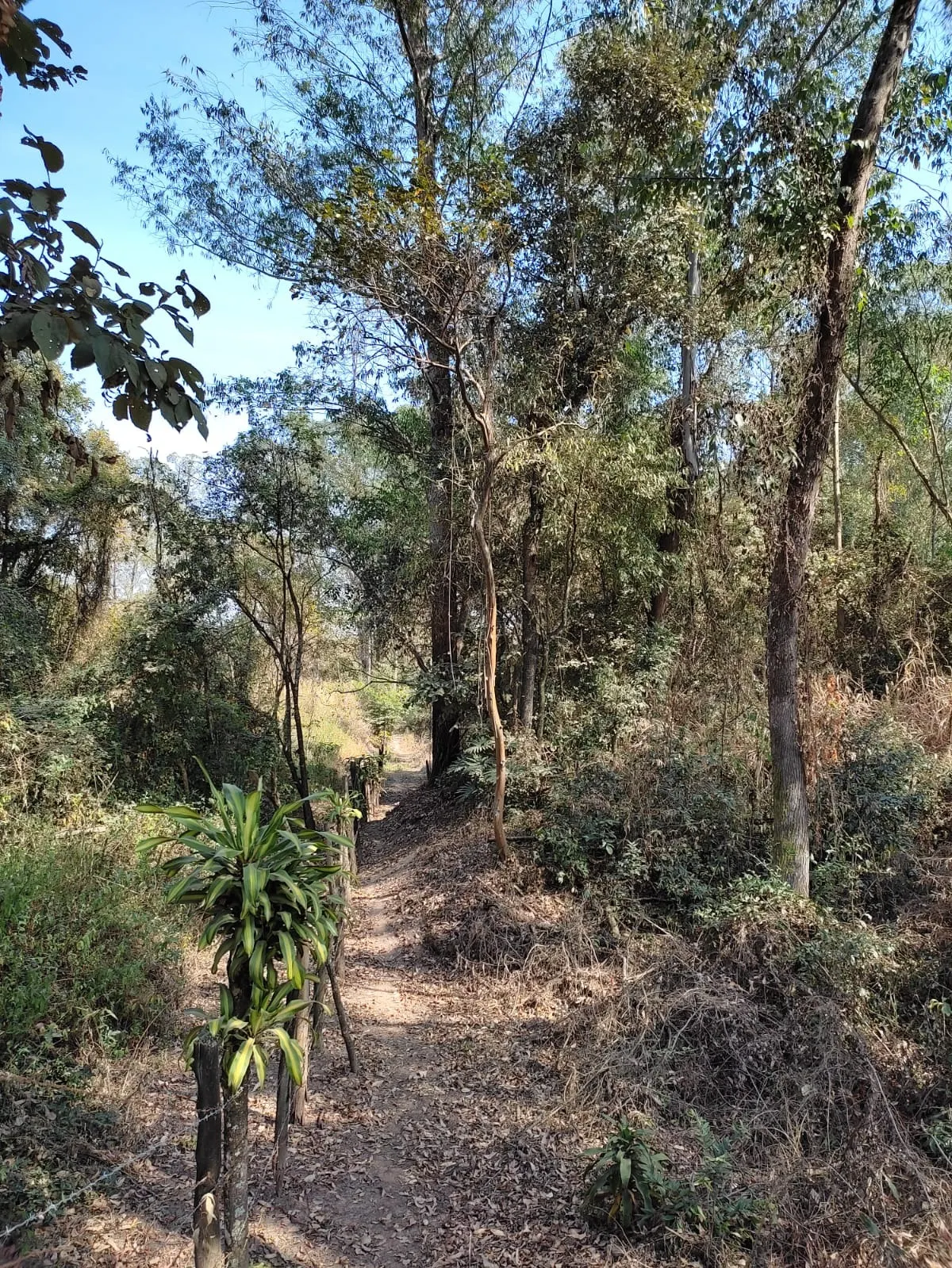 Country home for sale of 8 acres in Piracicaba, SP, Brazil
