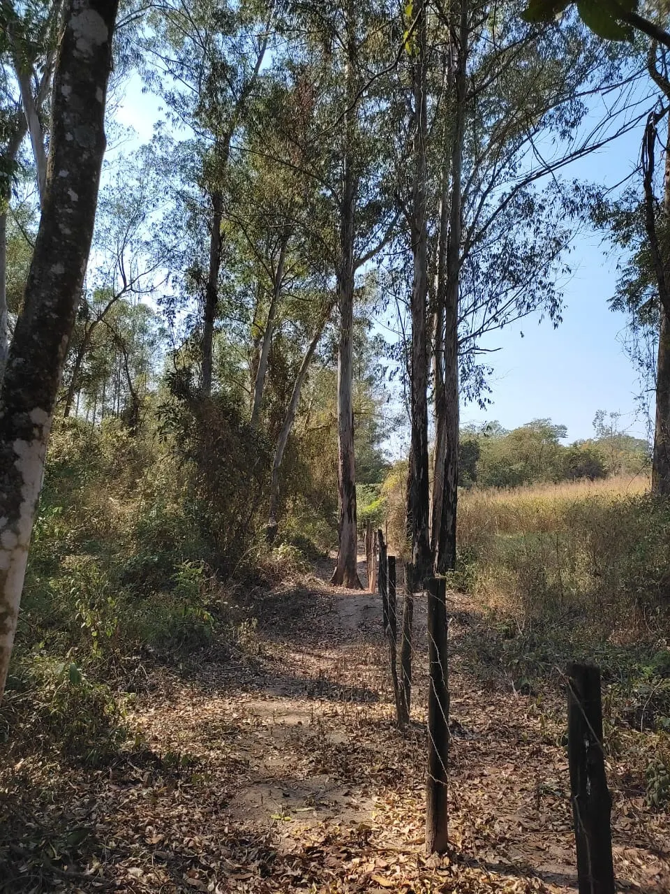 Country home for sale of 8 acres in Piracicaba, SP, Brazil