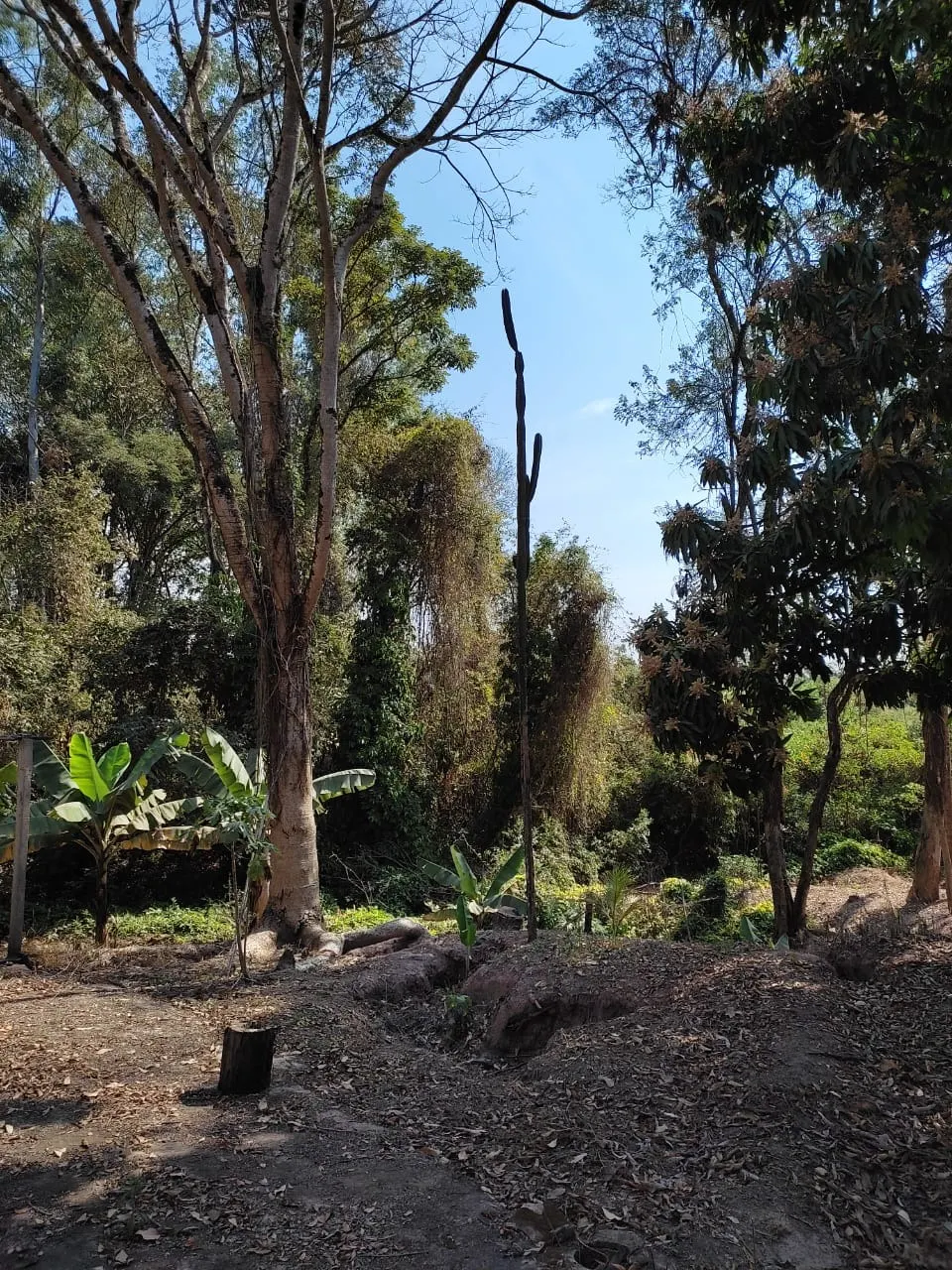 Country home for sale of 8 acres in Piracicaba, SP, Brazil