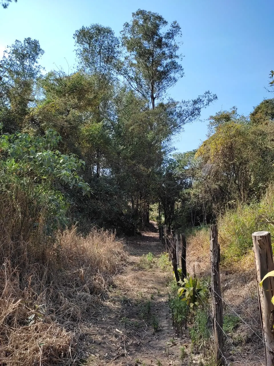 Country home for sale of 8 acres in Piracicaba, SP, Brazil