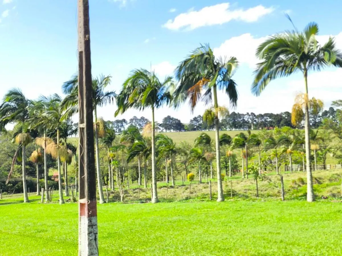 Fazenda à venda de 653 ha em Riversul, SP, Brasil