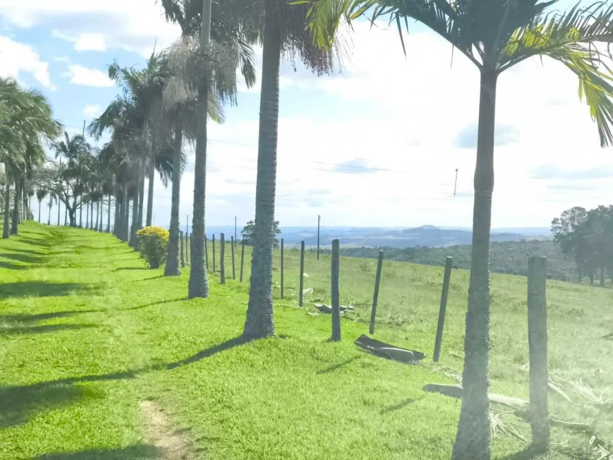 Fazenda à venda de 653 ha em Riversul, SP, Brasil