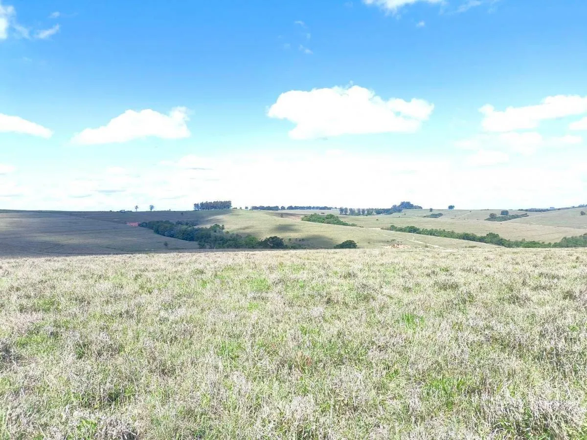 Fazenda à venda de 653 ha em Riversul, SP, Brasil
