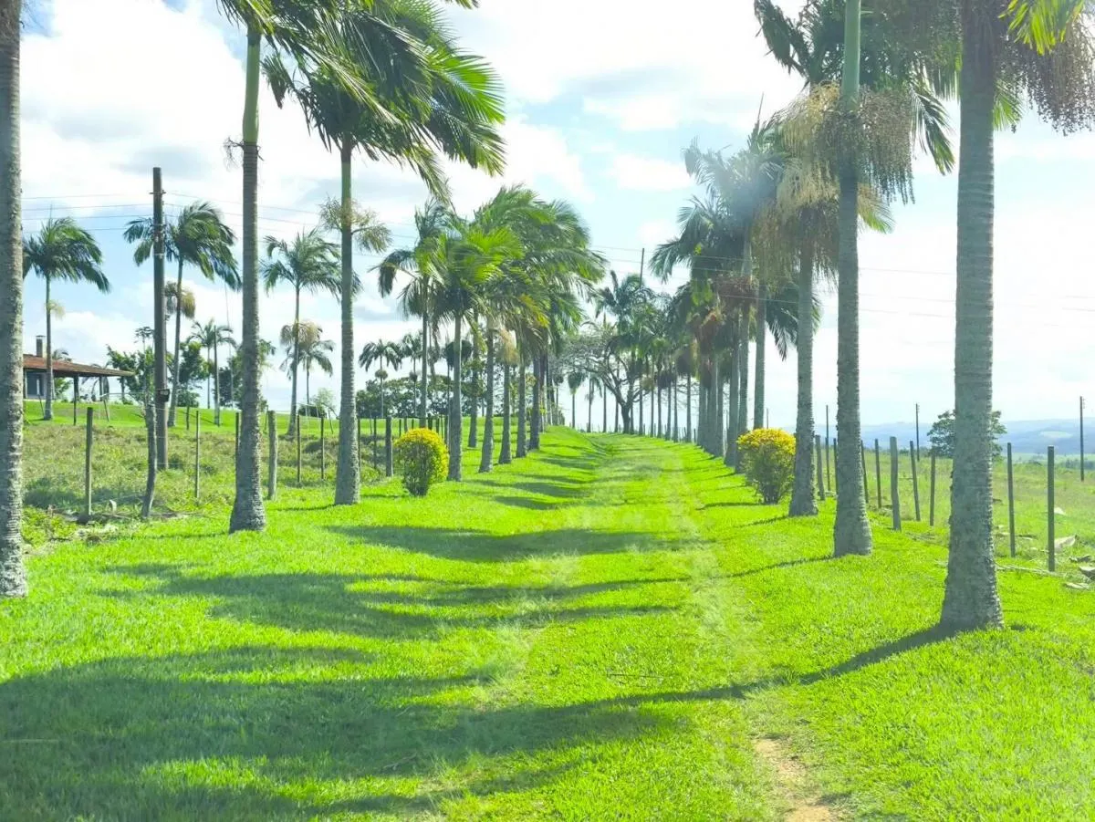 Fazenda à venda de 653 ha em Riversul, SP, Brasil