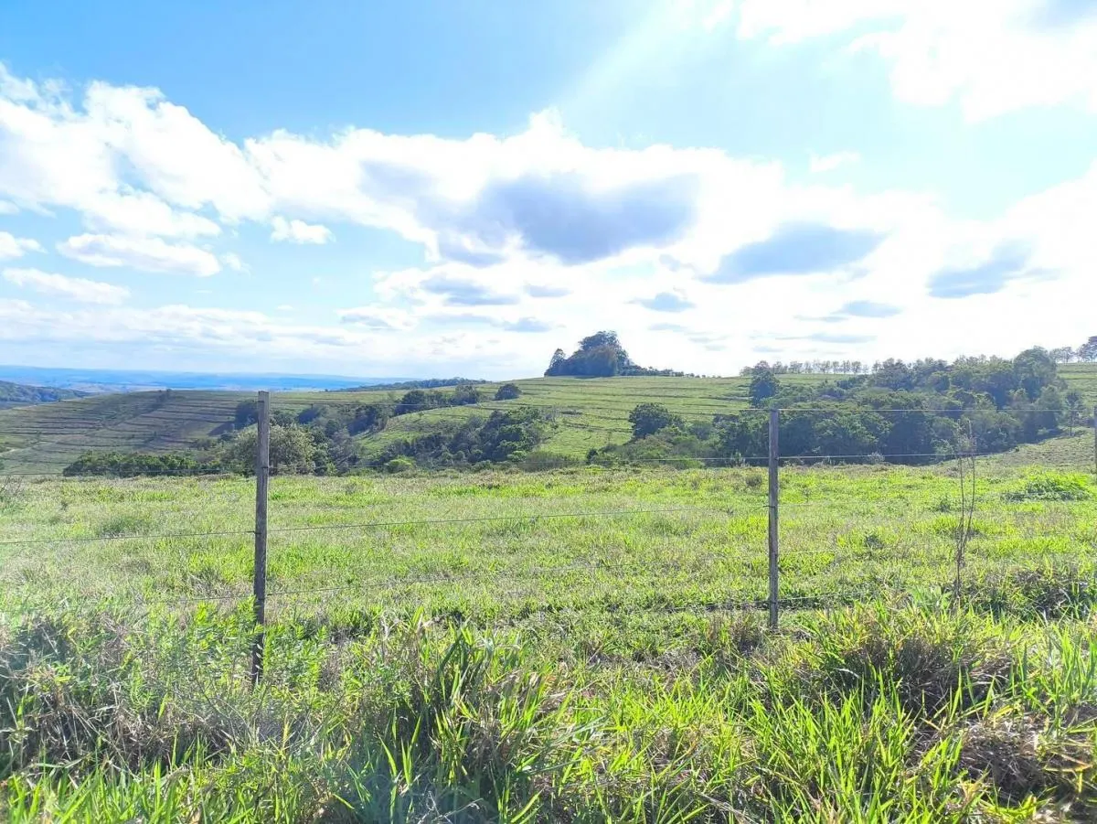 Fazenda à venda de 653 ha em Riversul, SP, Brasil