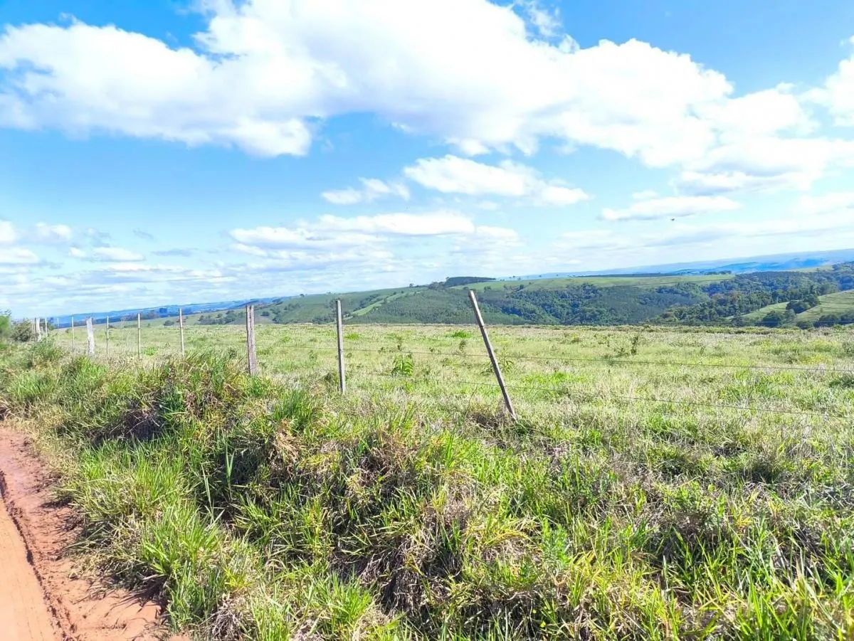 Fazenda à venda de 653 ha em Riversul, SP, Brasil