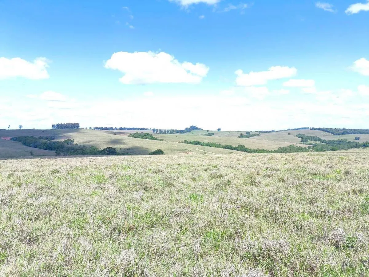 Fazenda à venda de 653 ha em Riversul, SP, Brasil