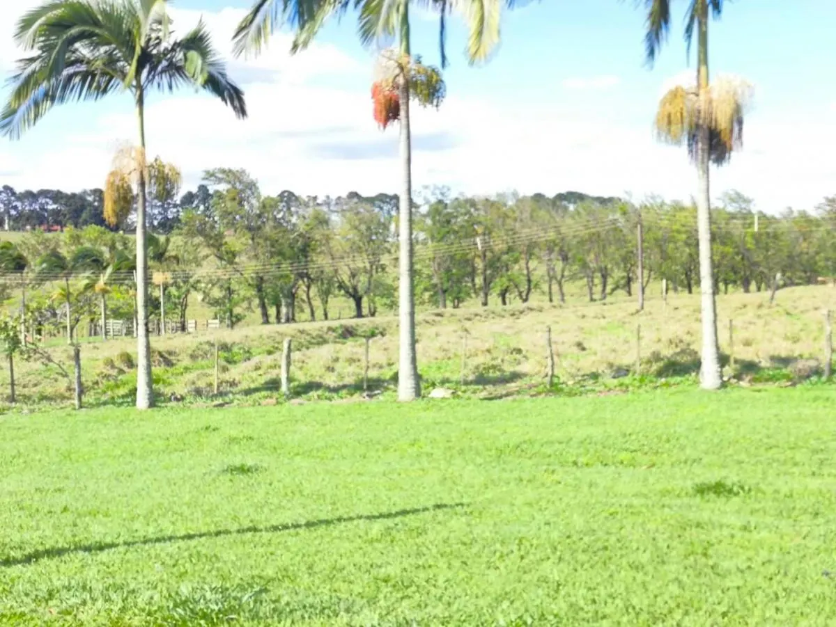 Fazenda à venda de 653 ha em Riversul, SP, Brasil
