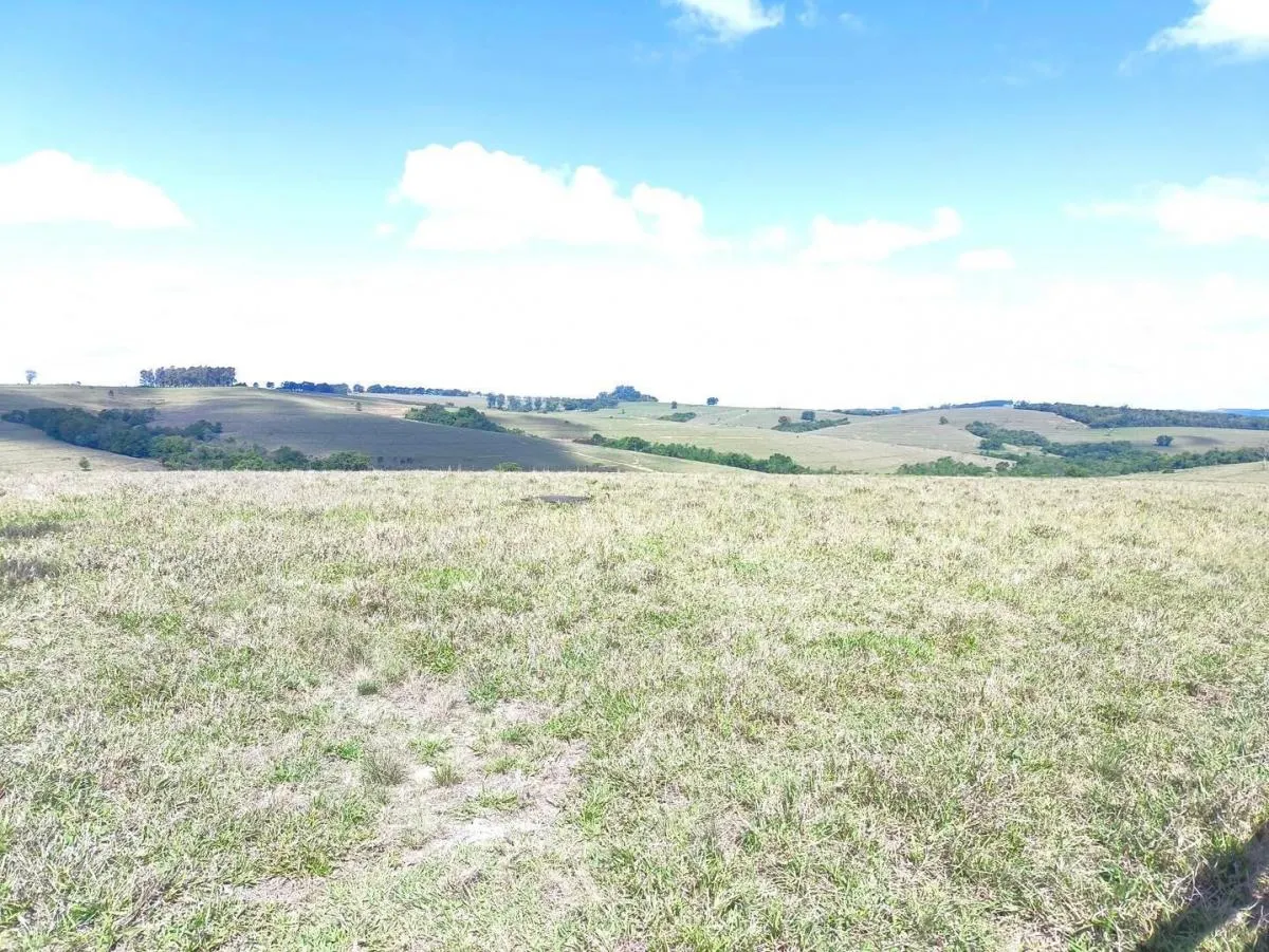 Fazenda à venda de 653 ha em Riversul, SP, Brasil