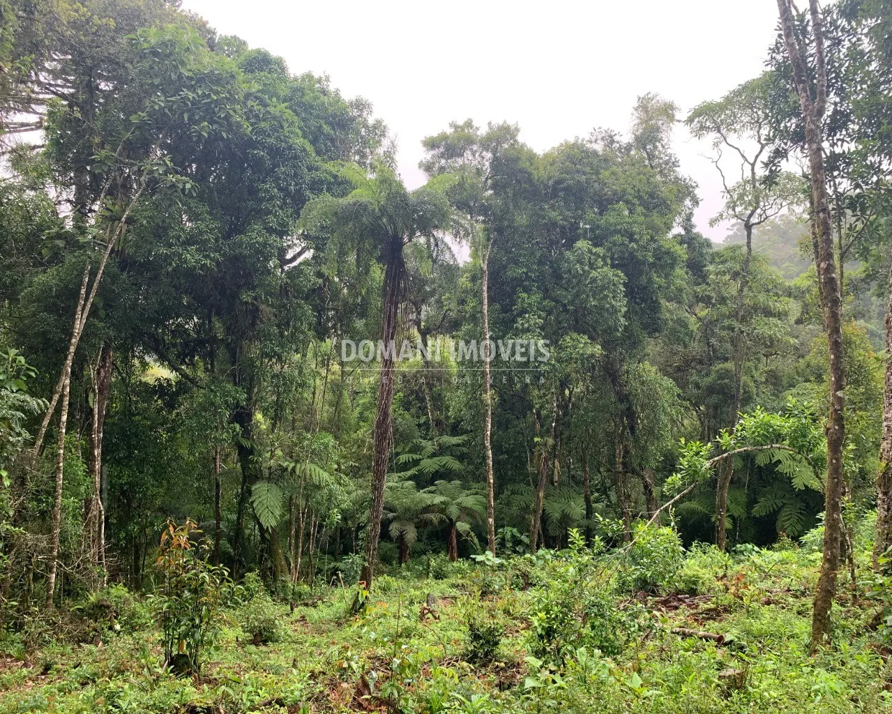 Plot for sale of 1,210 m² in Campos do Jordão, SP, Brazil