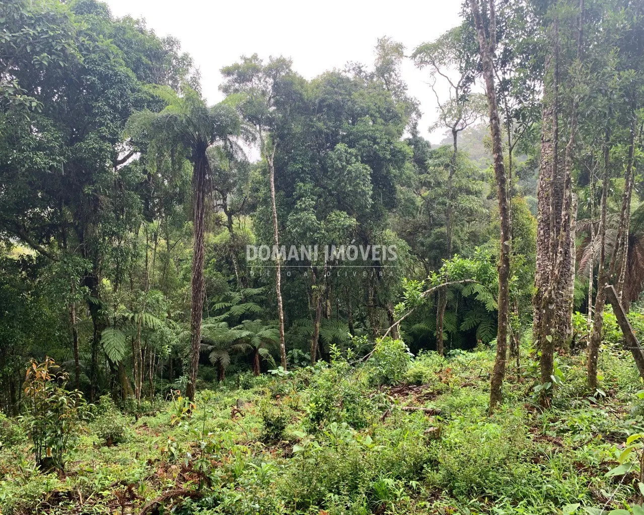 Plot for sale of 1,210 m² in Campos do Jordão, SP, Brazil