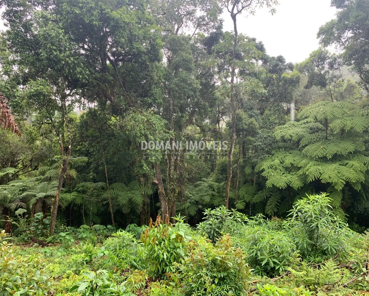 Plot for sale of 1,210 m² in Campos do Jordão, SP, Brazil