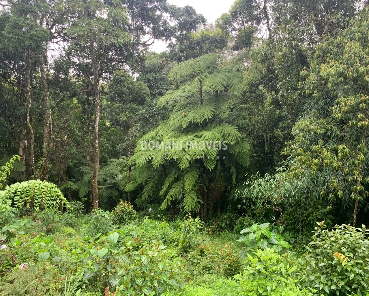 Plot for sale of 1,210 m² in Campos do Jordão, SP, Brazil