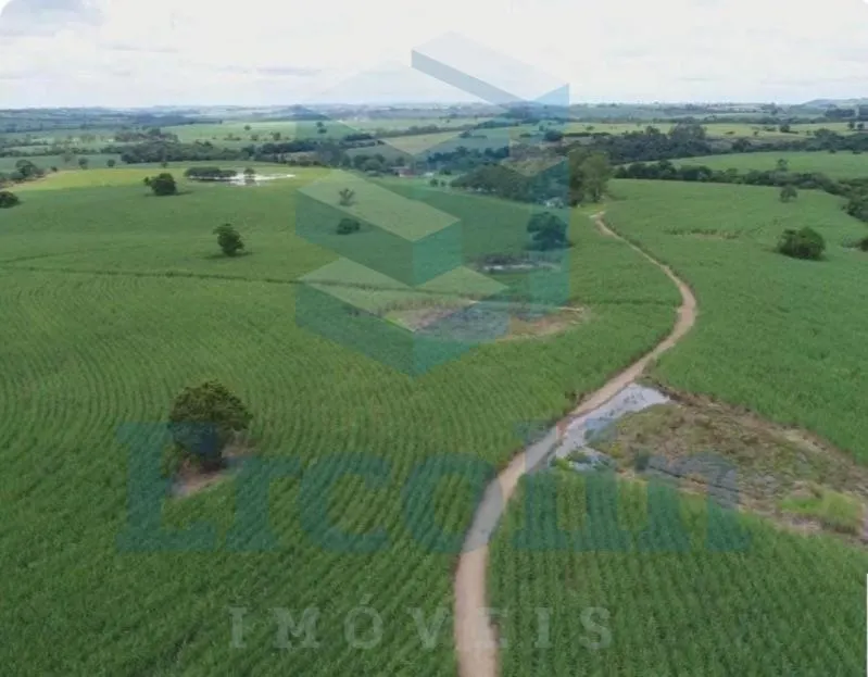 Fazenda à venda de 65 ha em Itapetininga, SP, Brasil