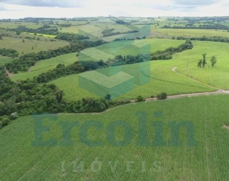 Fazenda à venda de 65 ha em Itapetininga, SP, Brasil