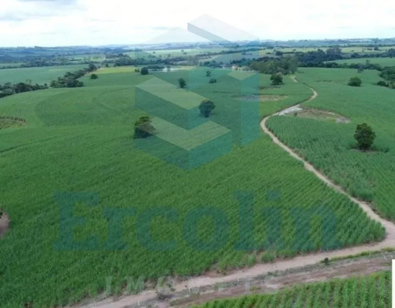 Fazenda à venda de 65 ha em Itapetininga, SP, Brasil
