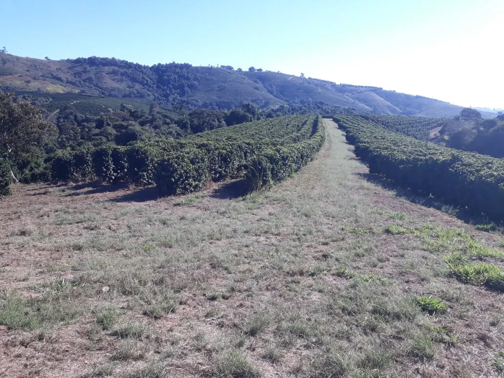 Fazenda à venda de 252 ha em Jacutinga, MG, Brasil