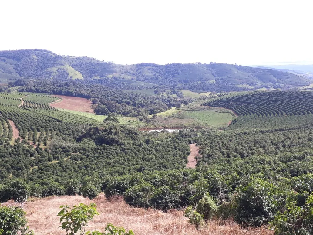 Fazenda à venda de 252 ha em Jacutinga, MG, Brasil