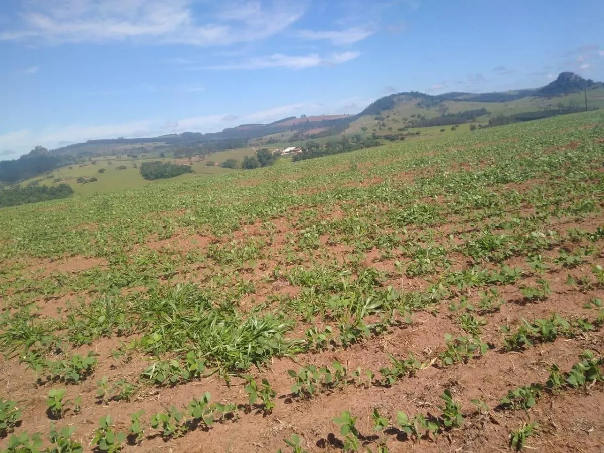 Fazenda à venda de 94 ha em Piraju, SP, Brasil