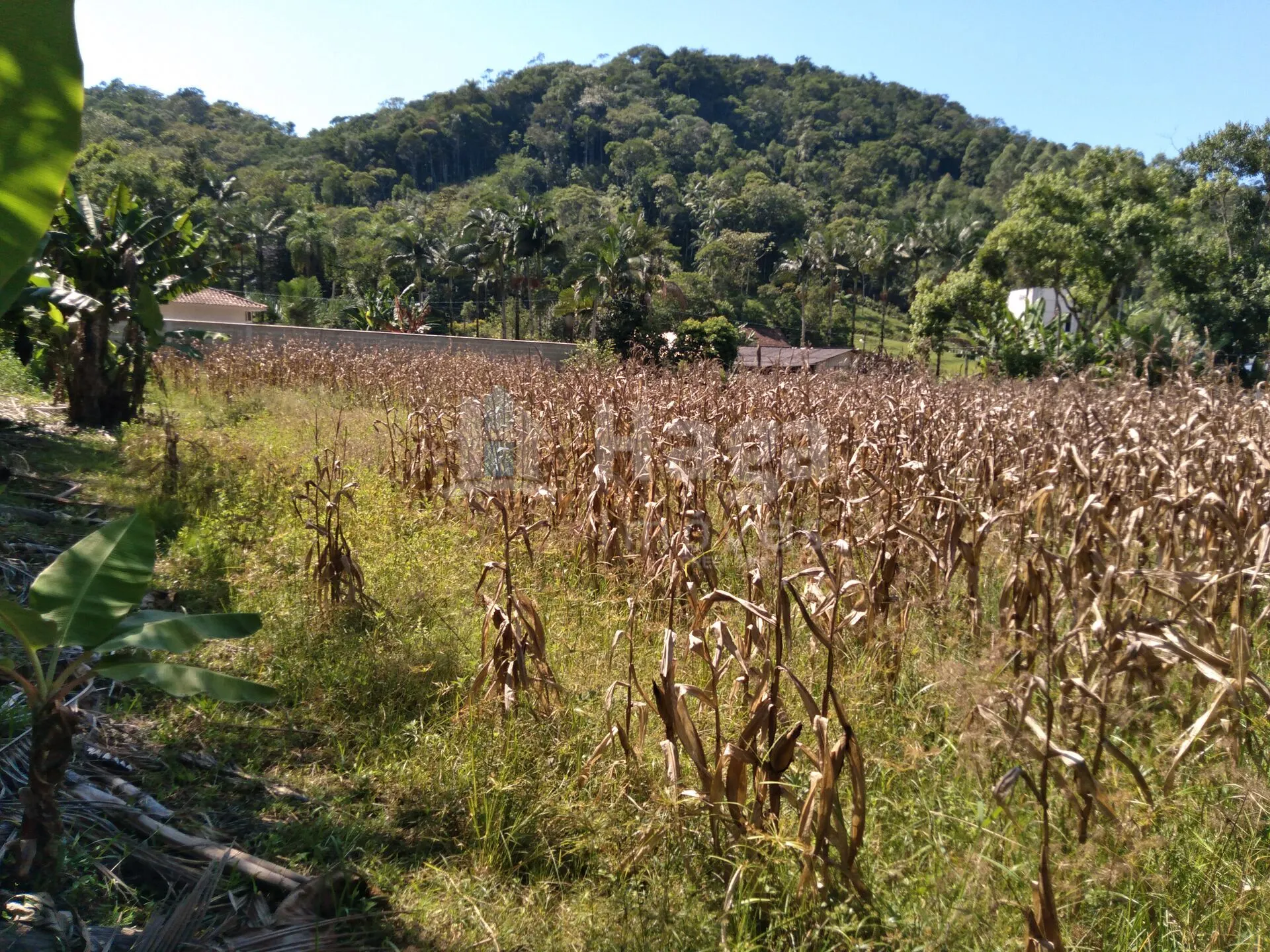 Terreno à venda de 1.269 m² em Guabiruba, SC, Brasil