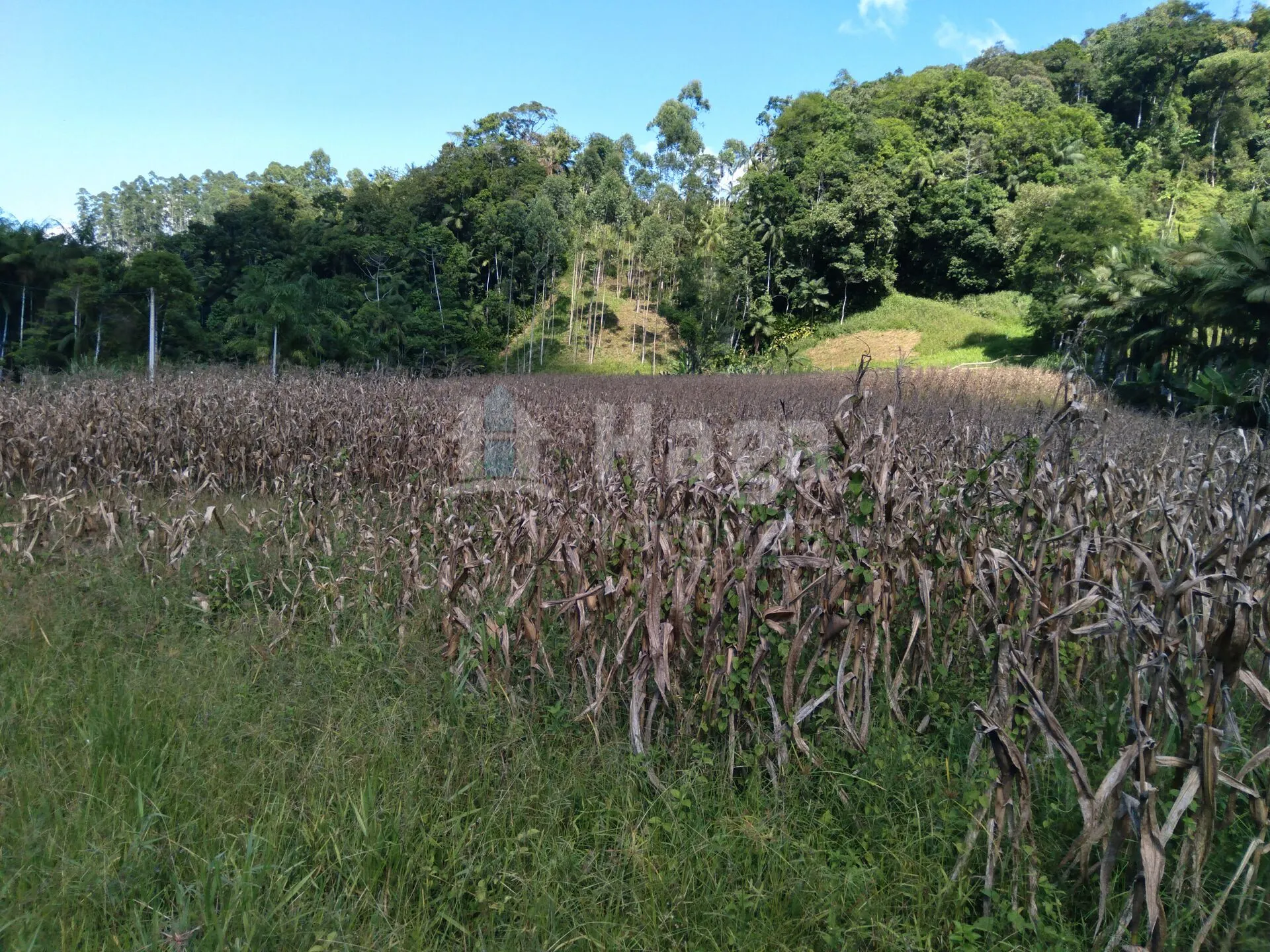 Terreno à venda de 1.269 m² em Guabiruba, SC, Brasil