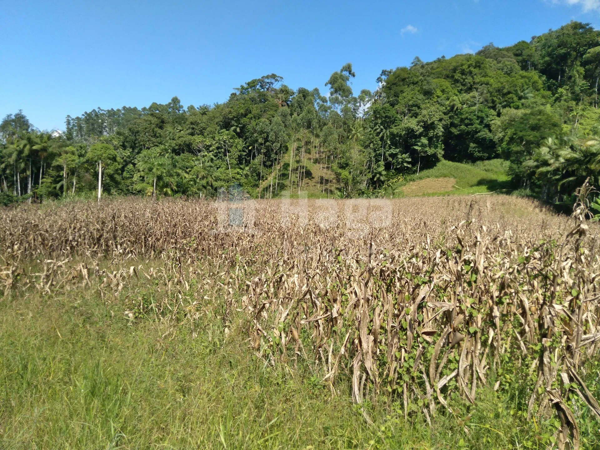 Terreno à venda de 1.269 m² em Guabiruba, SC, Brasil